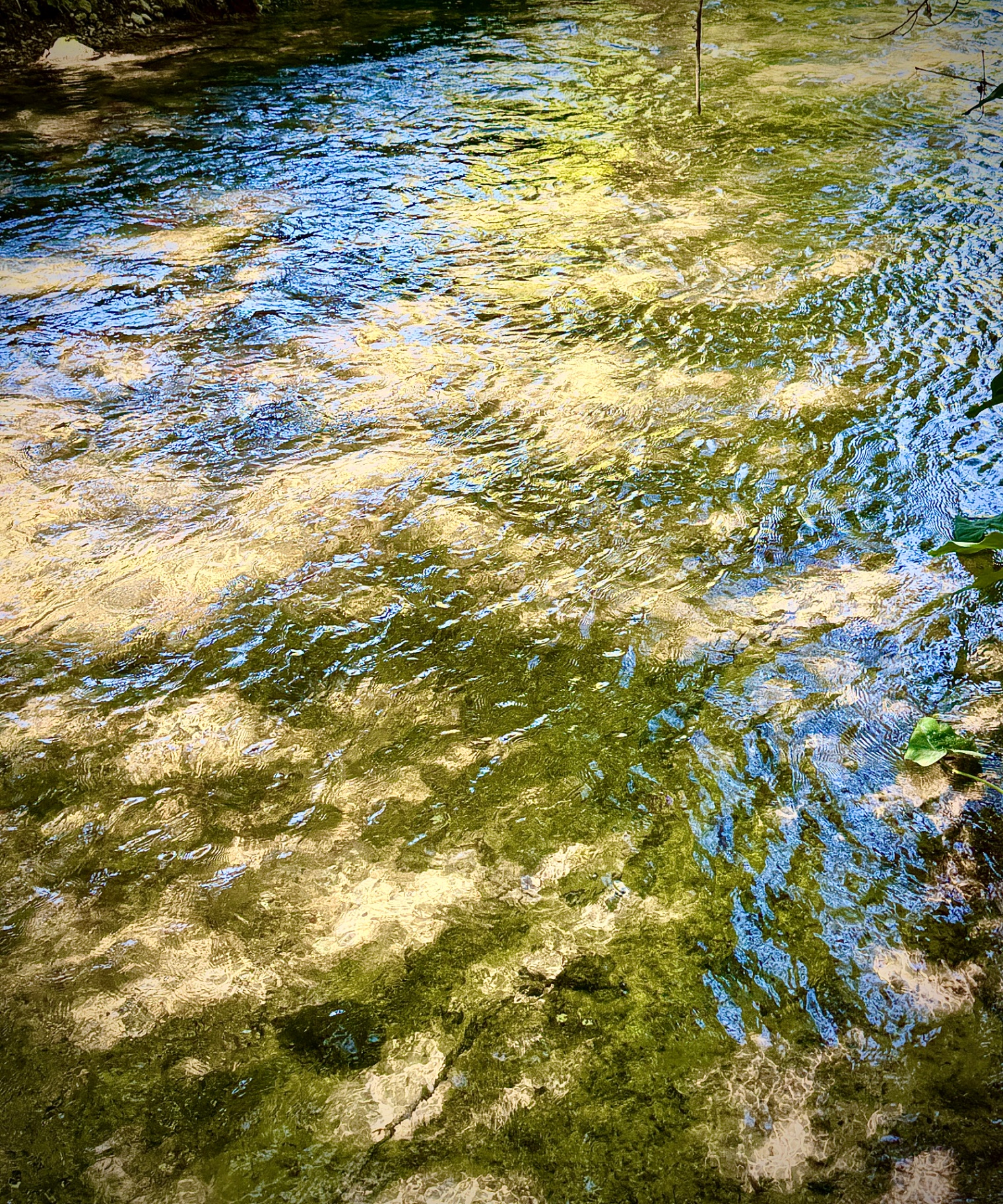 Gold & Blue Creek Ripples