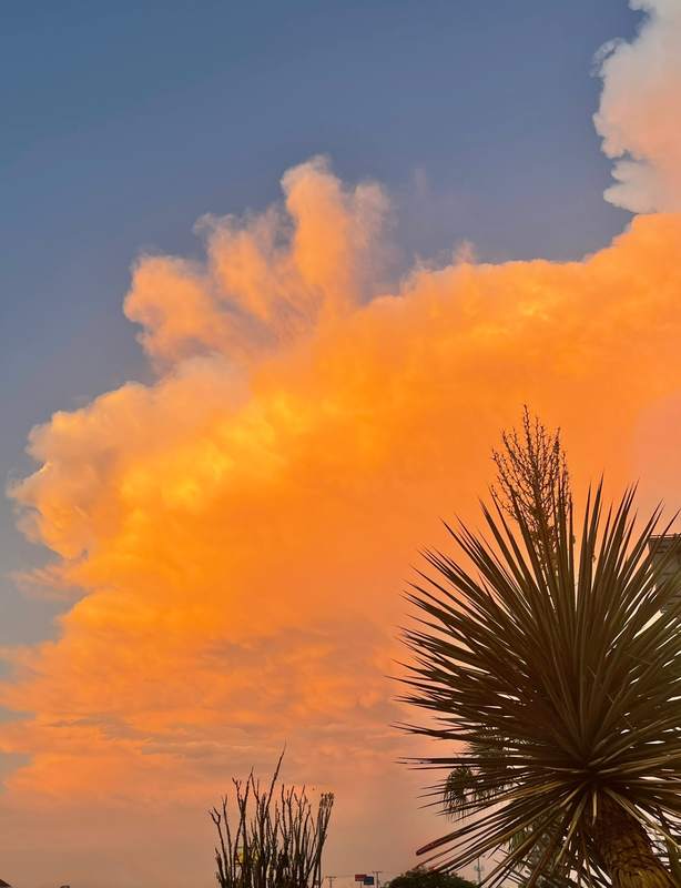 Texas Skies