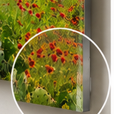 Close-up corner detail of a frameless metal print mounted to stand off from the wall