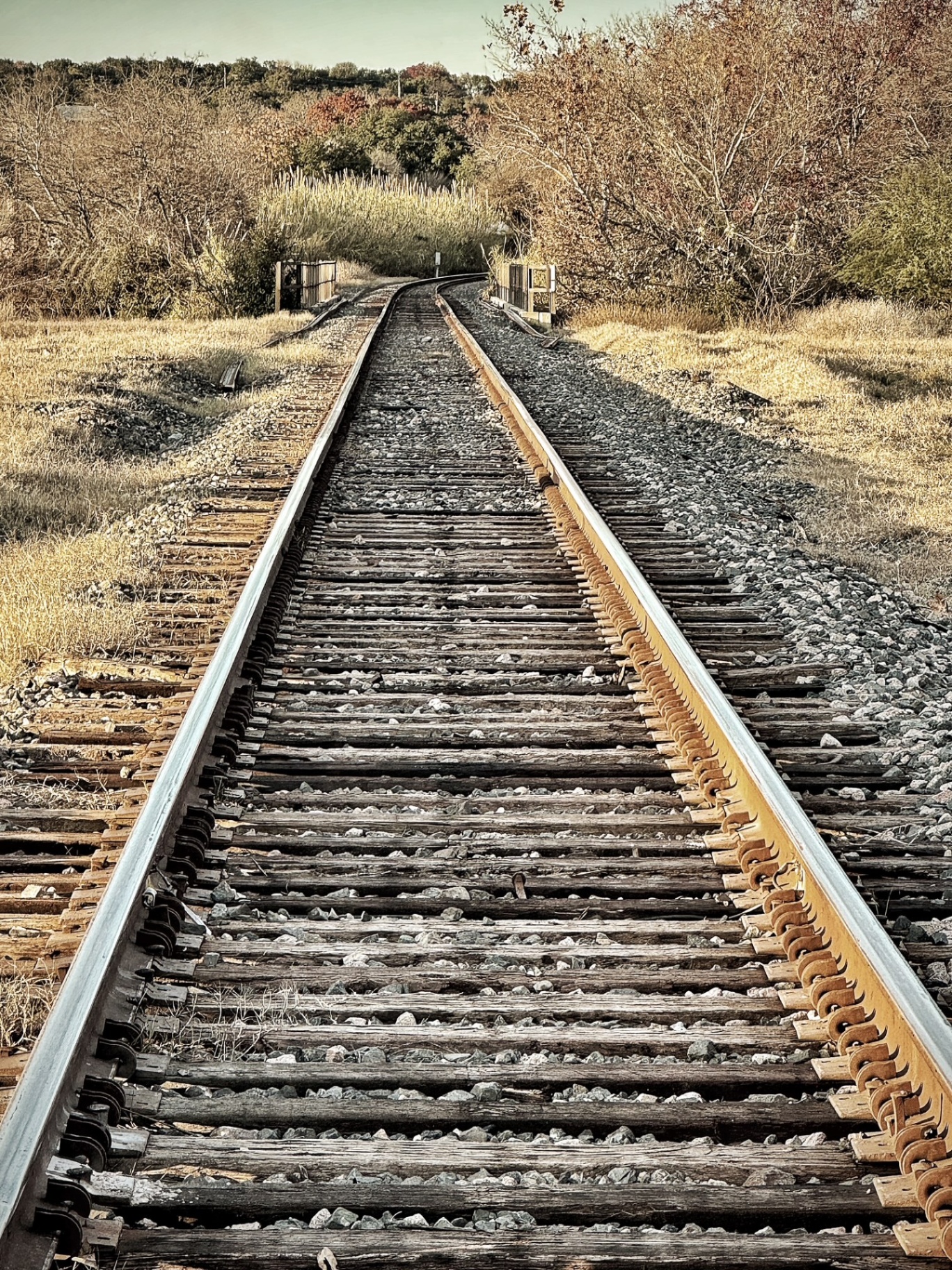 Autumn Tracks Vanishing