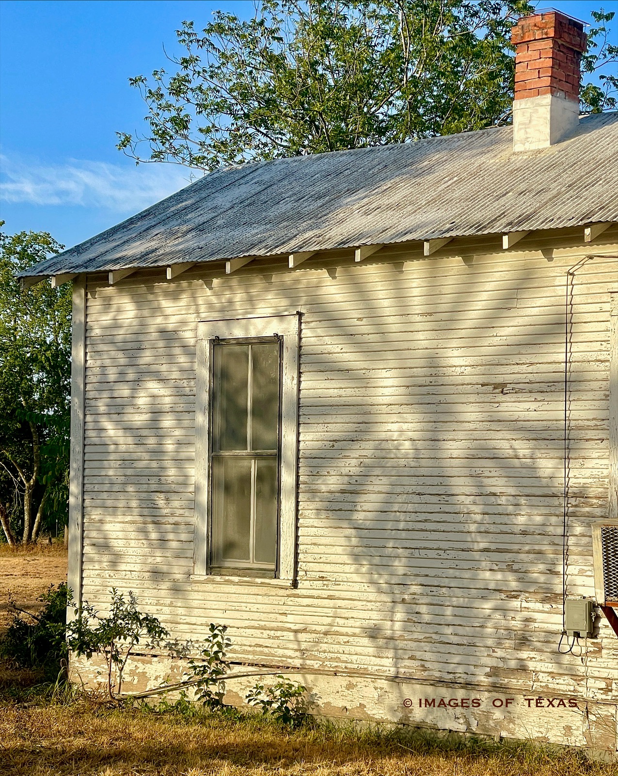 Old Farmhouse in Dappled Light
