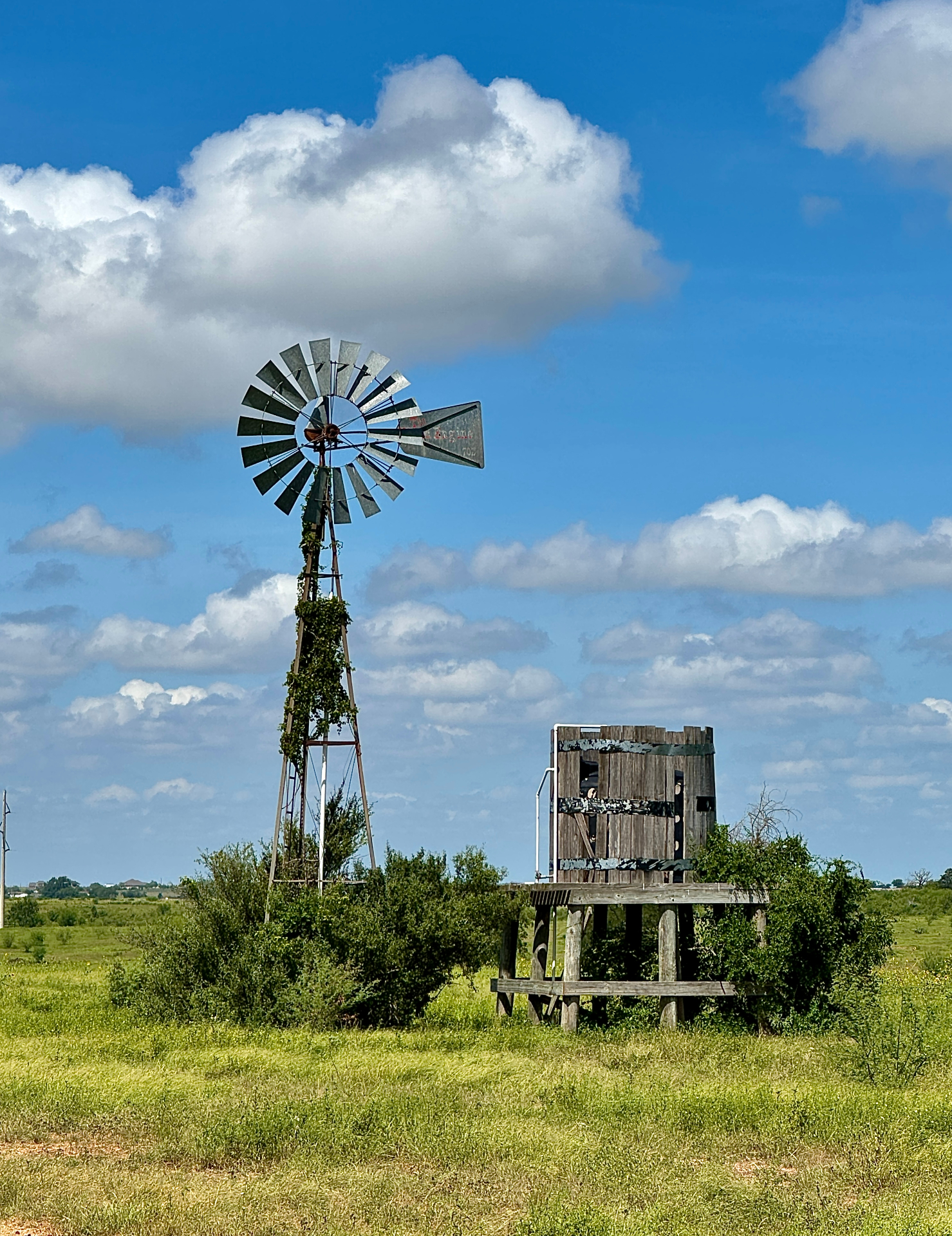 Windmill Under Summer Clouds, Seguin