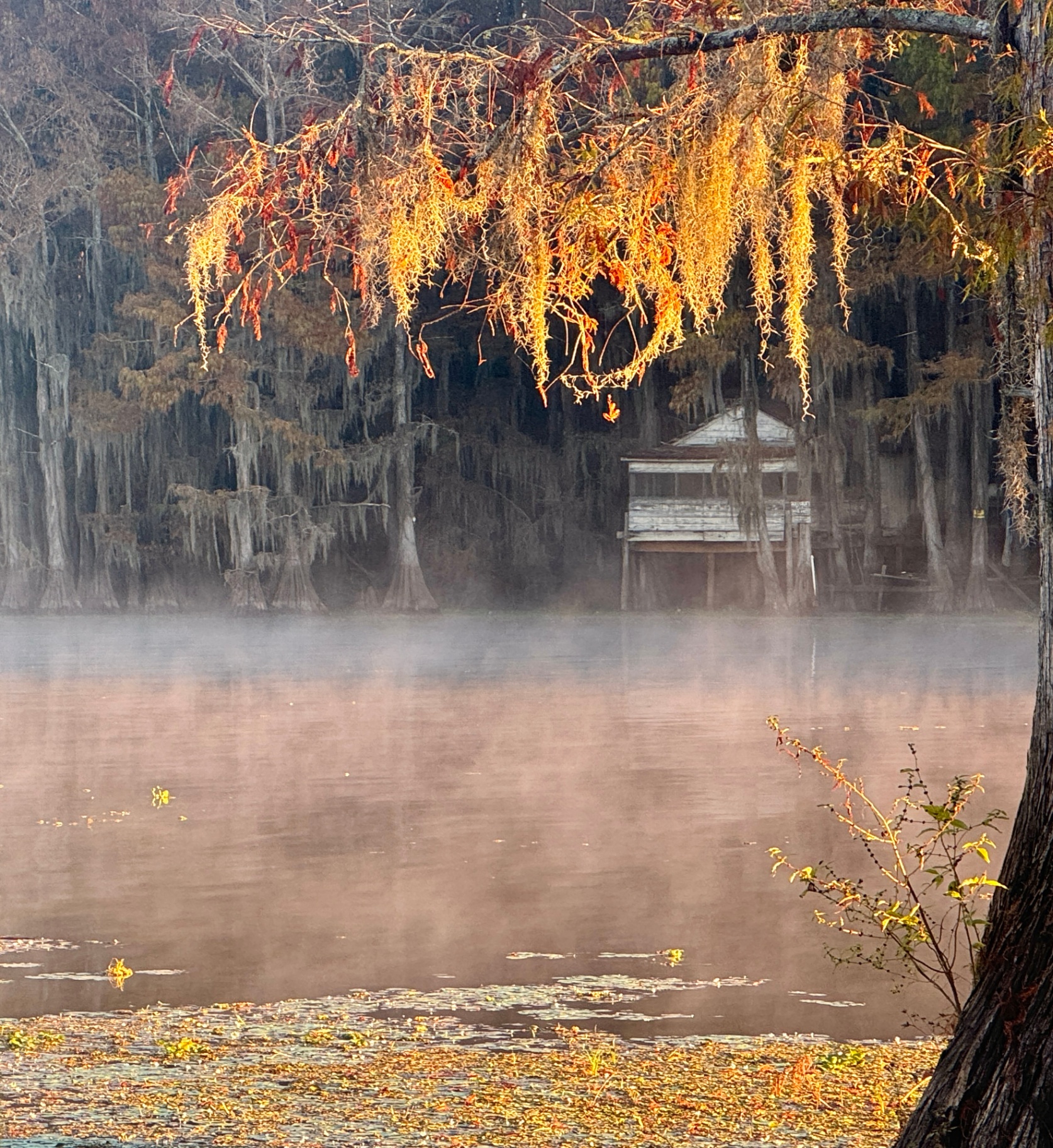Boathouse in Morning Mist