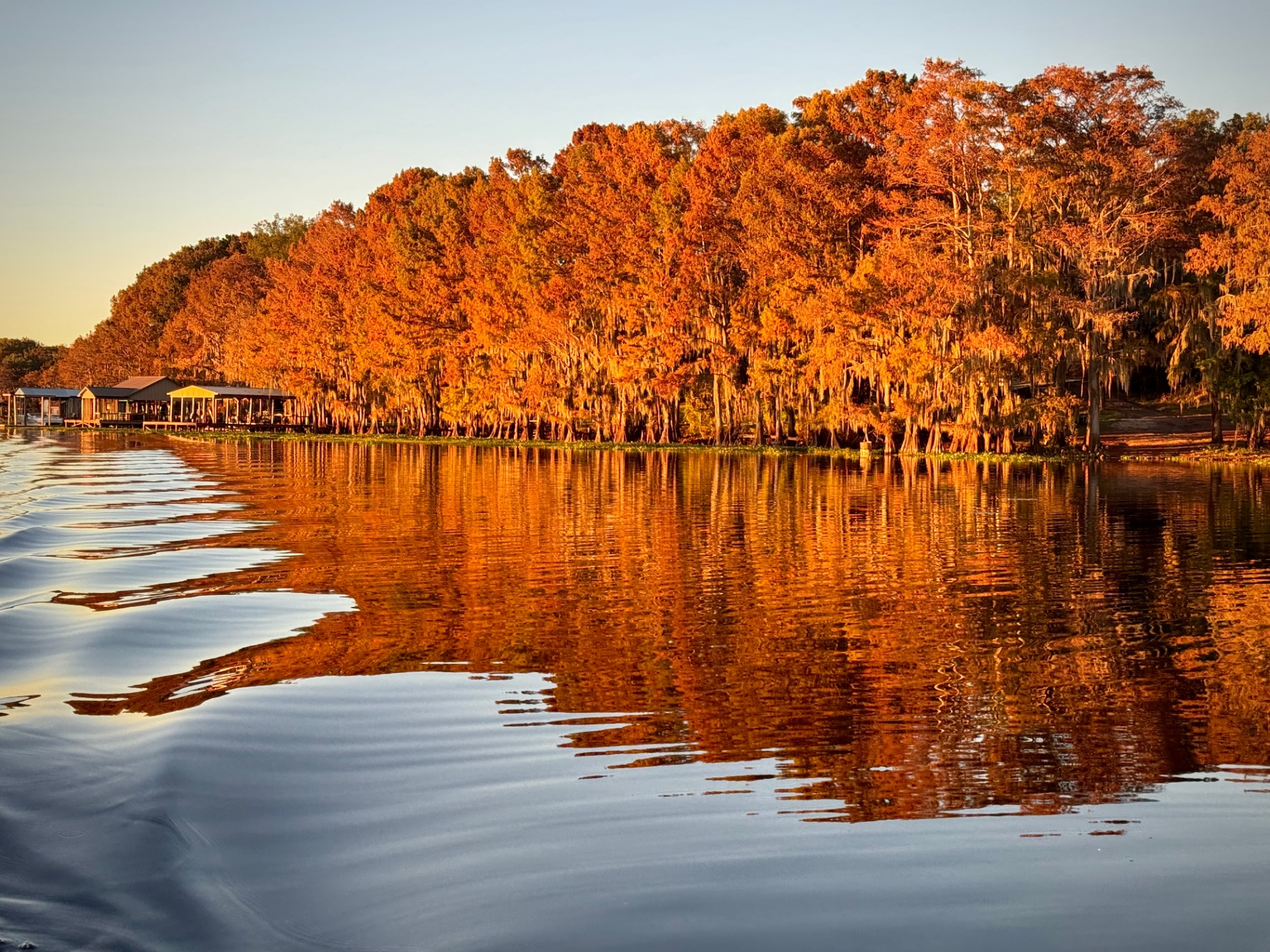 Fiery Cypress Shoreline at Sunset