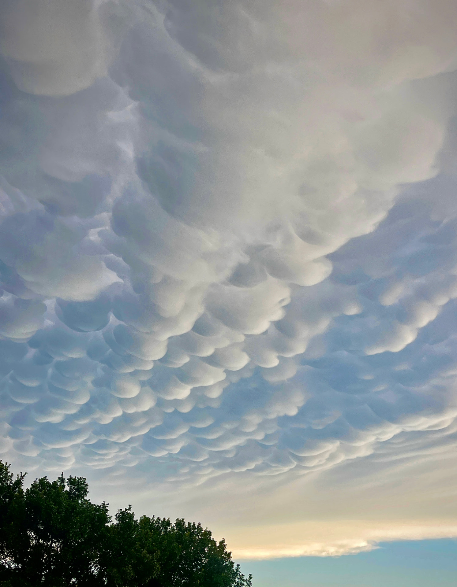 Mammatus Clouds at Evening