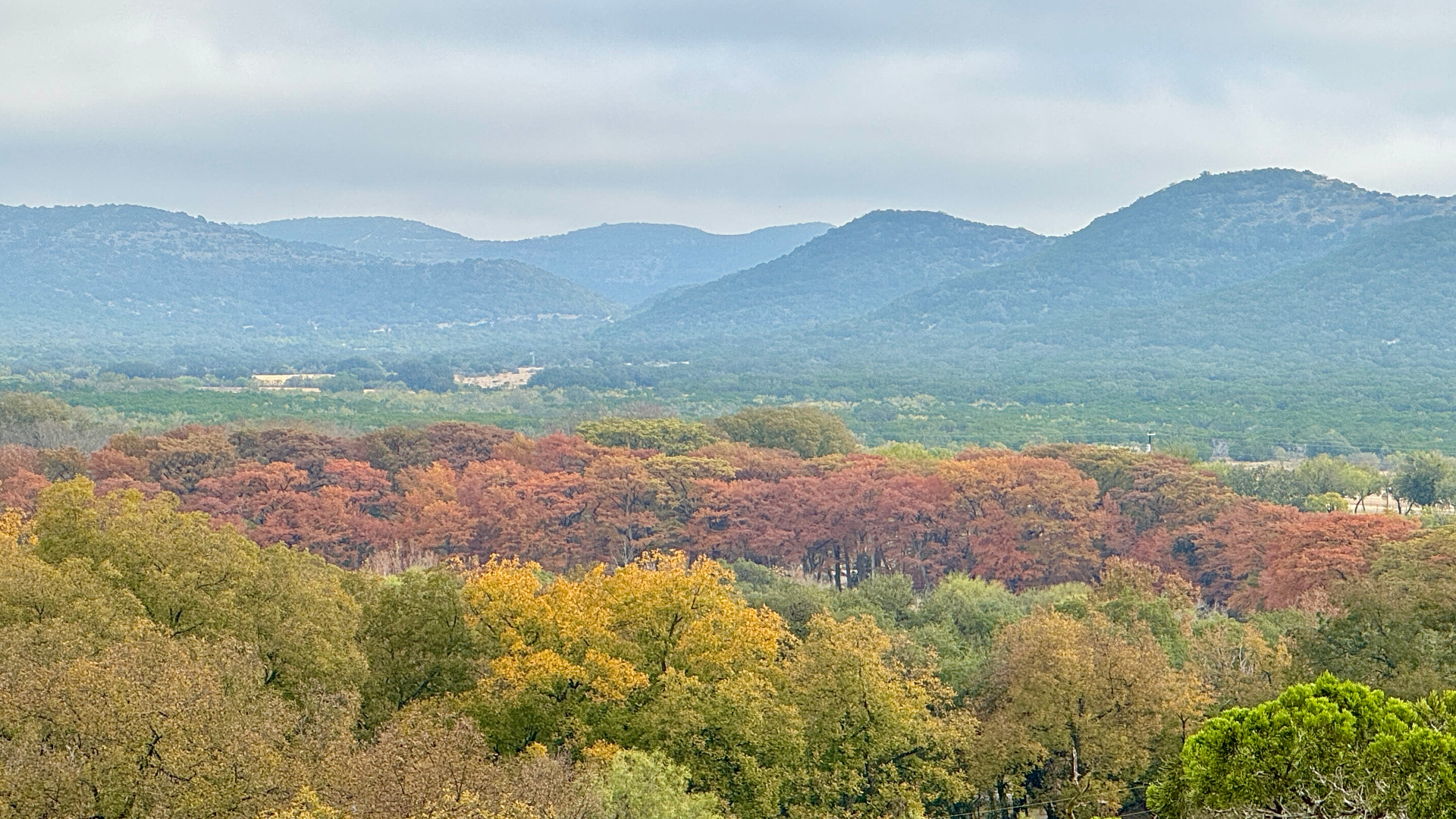 Autumn cypress branches over the green Frio River at Garner State Park