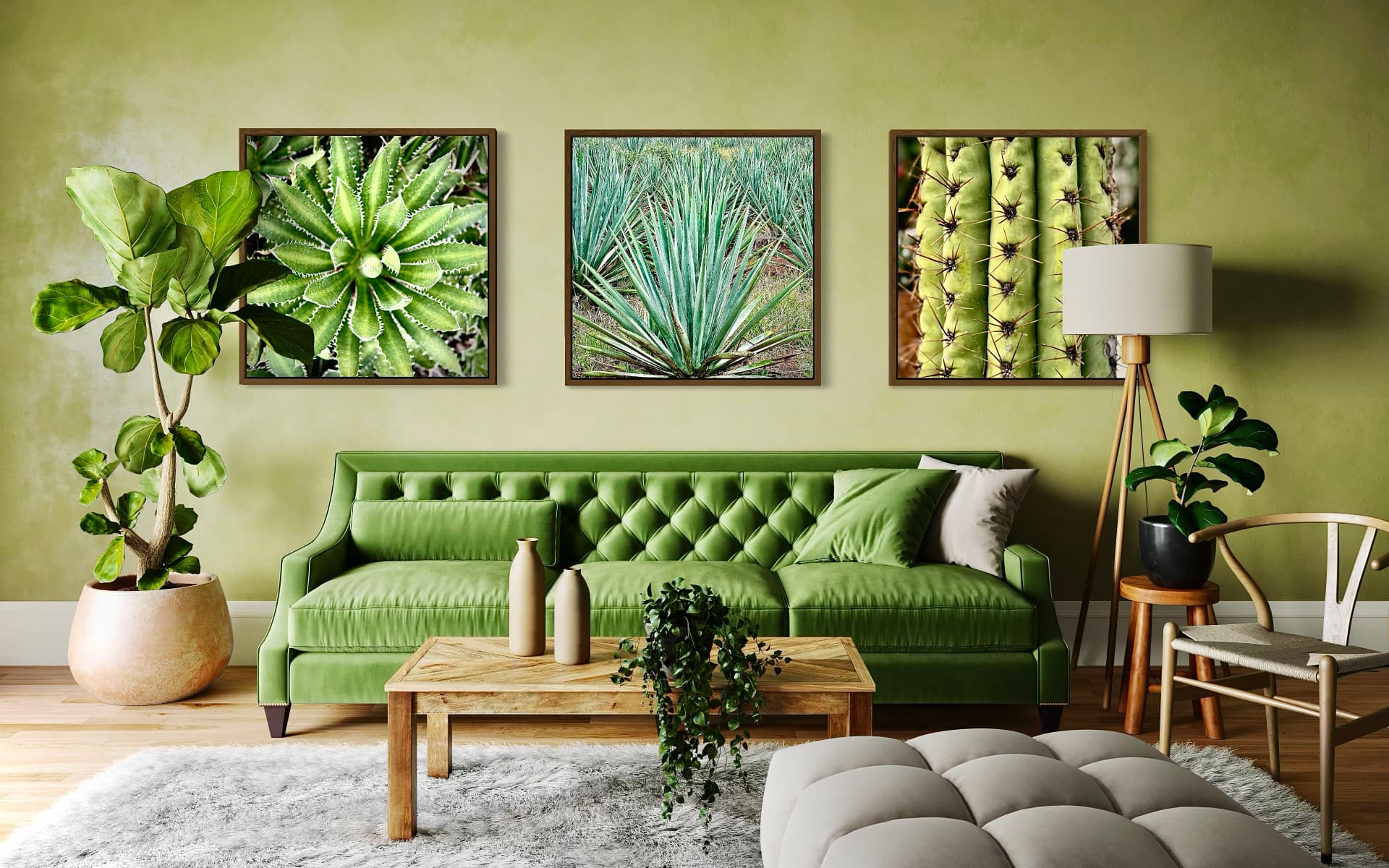 Three square cactus and agave photographs above a green velvet sofa on a chartreuse wall