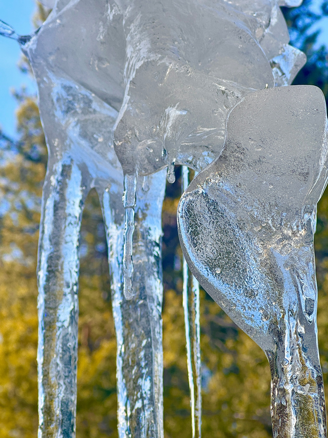 Sculpted Ice Forms