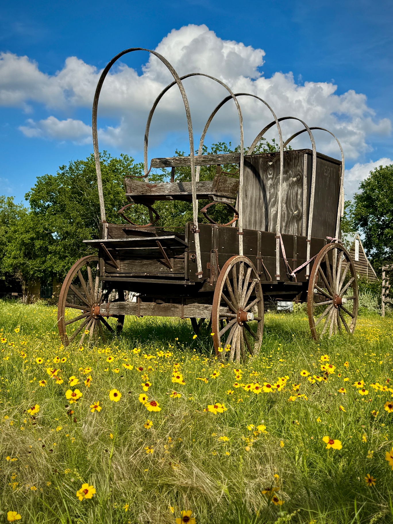 Covered Wagon at Conservation Plaza