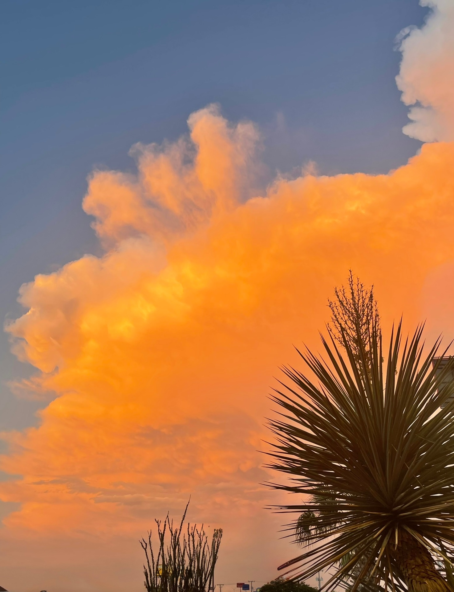 Texas Skies