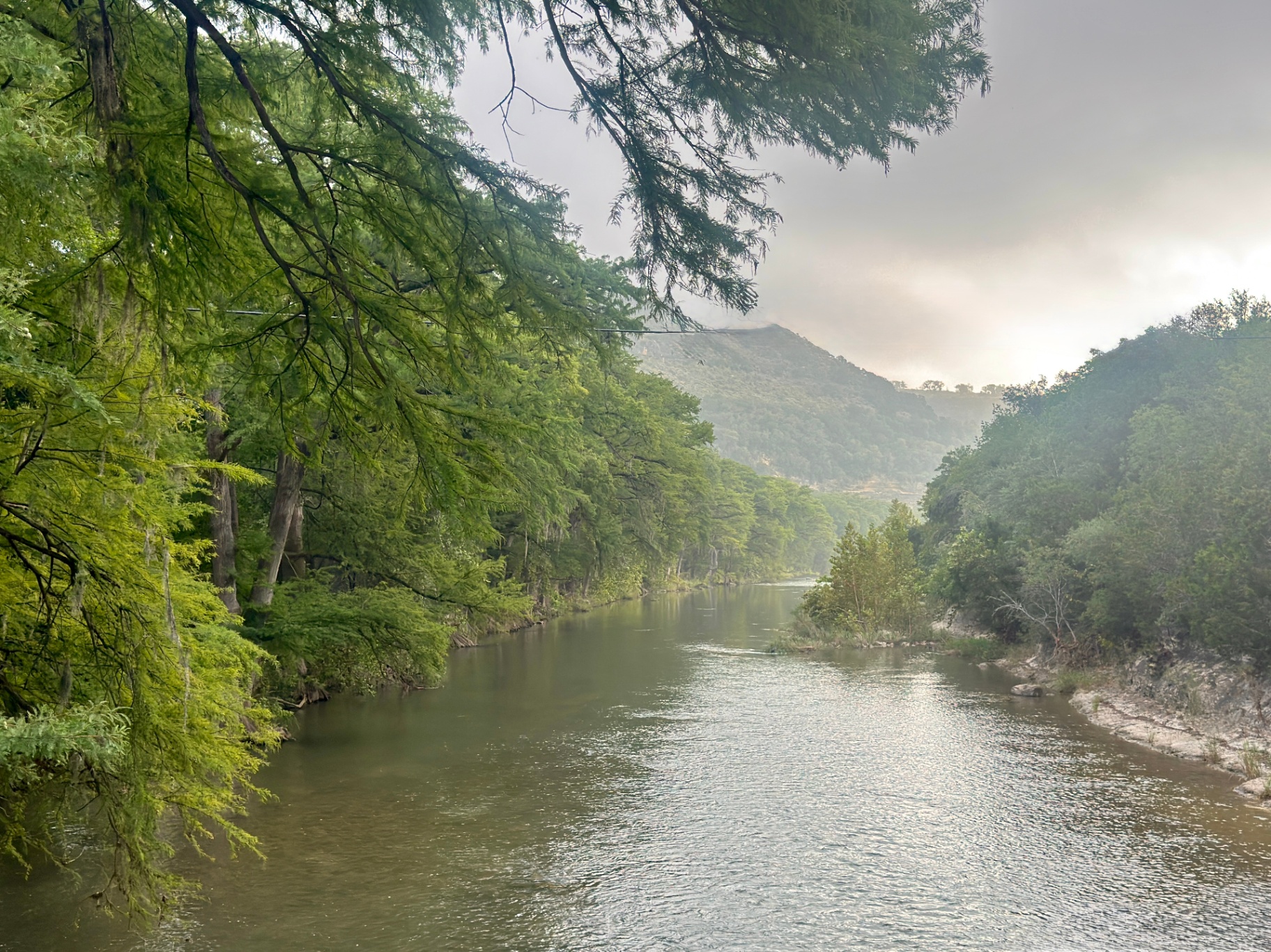 Guadalupe Canyon Morning