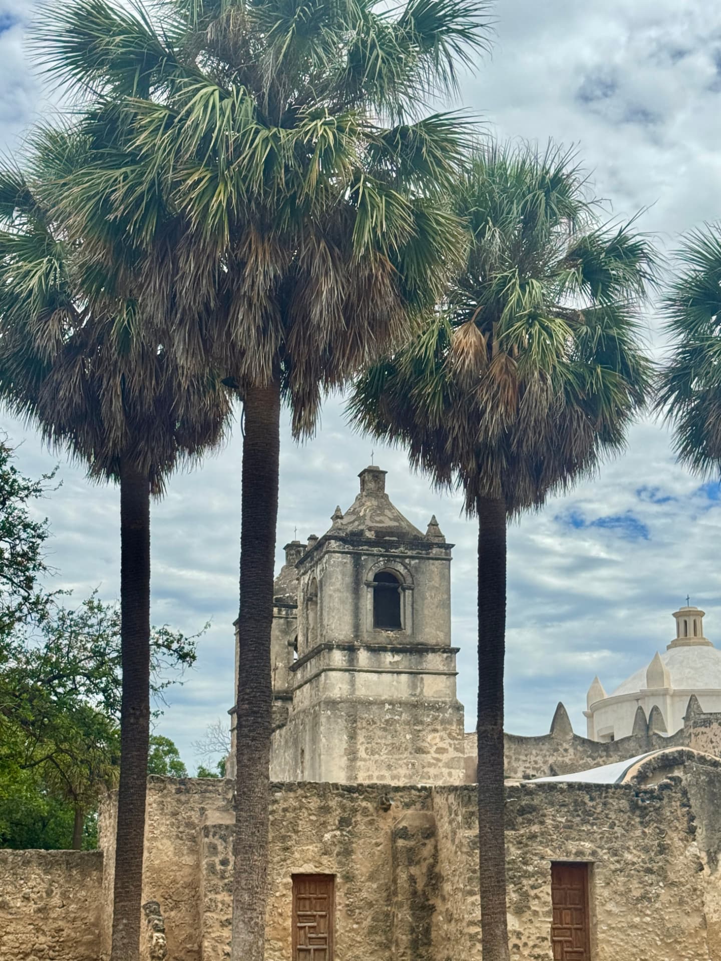 Mission Concepción Through the Palms