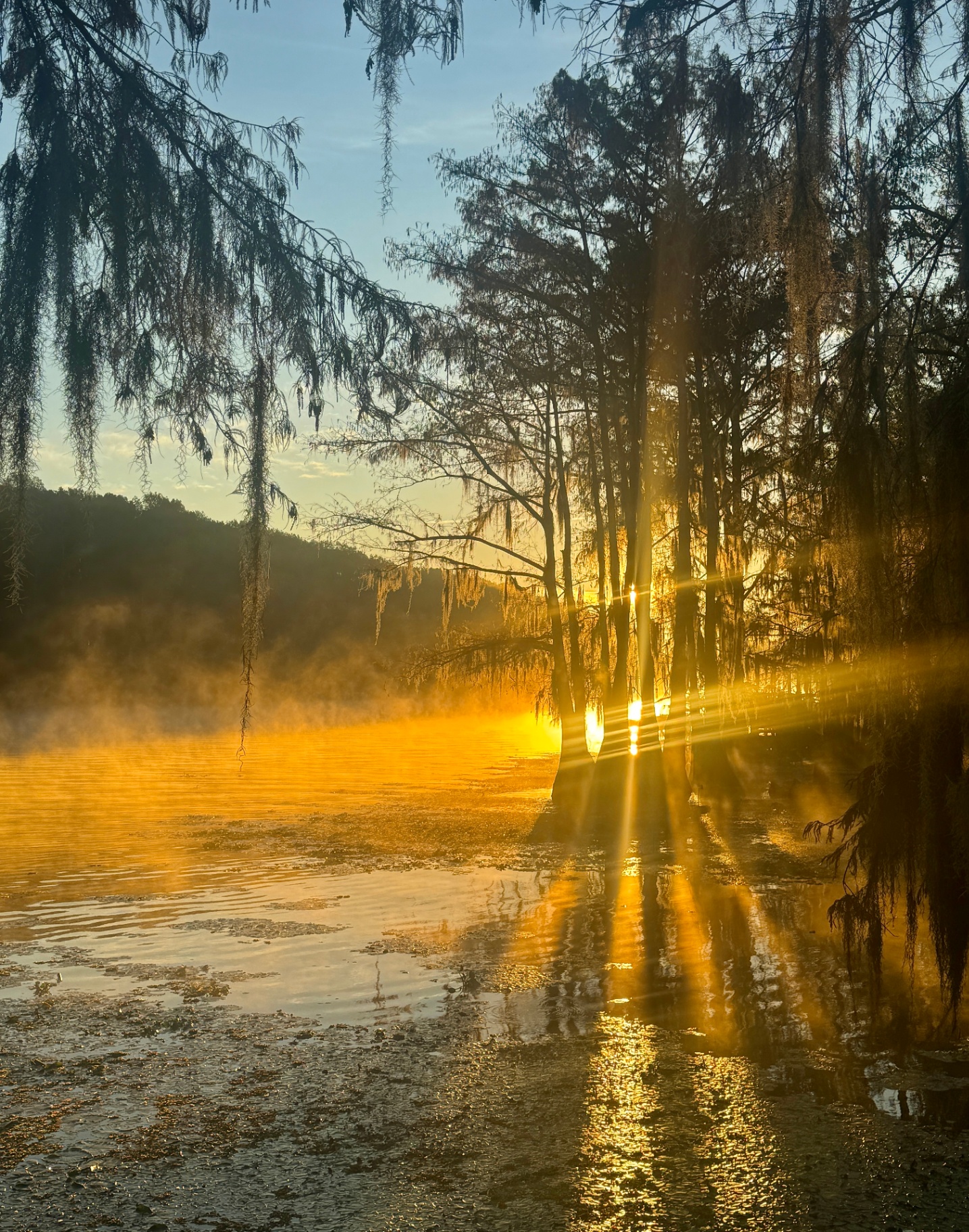Golden Sunburst Behind the Cypress