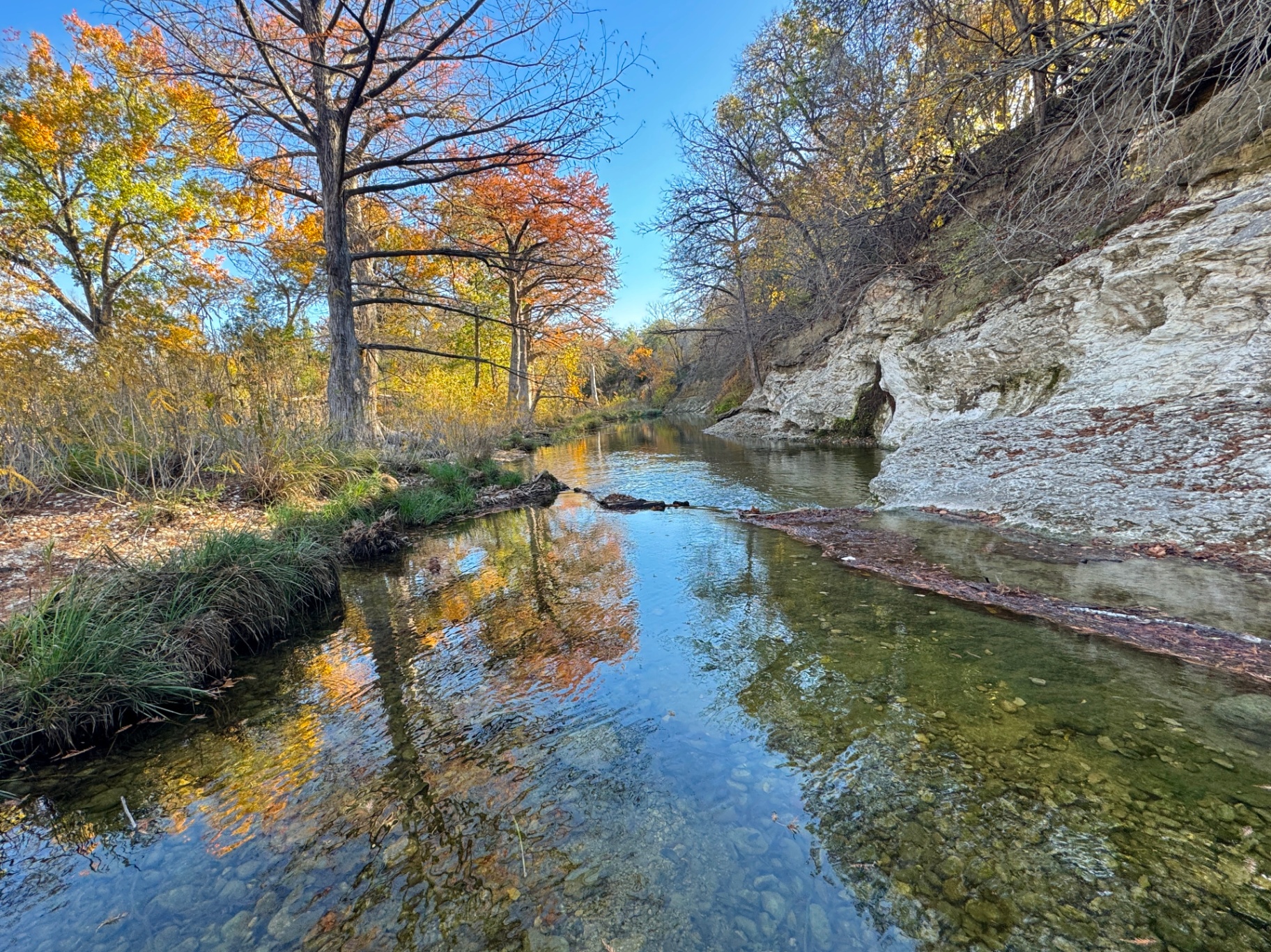 Onion Creek in Fall, Austin