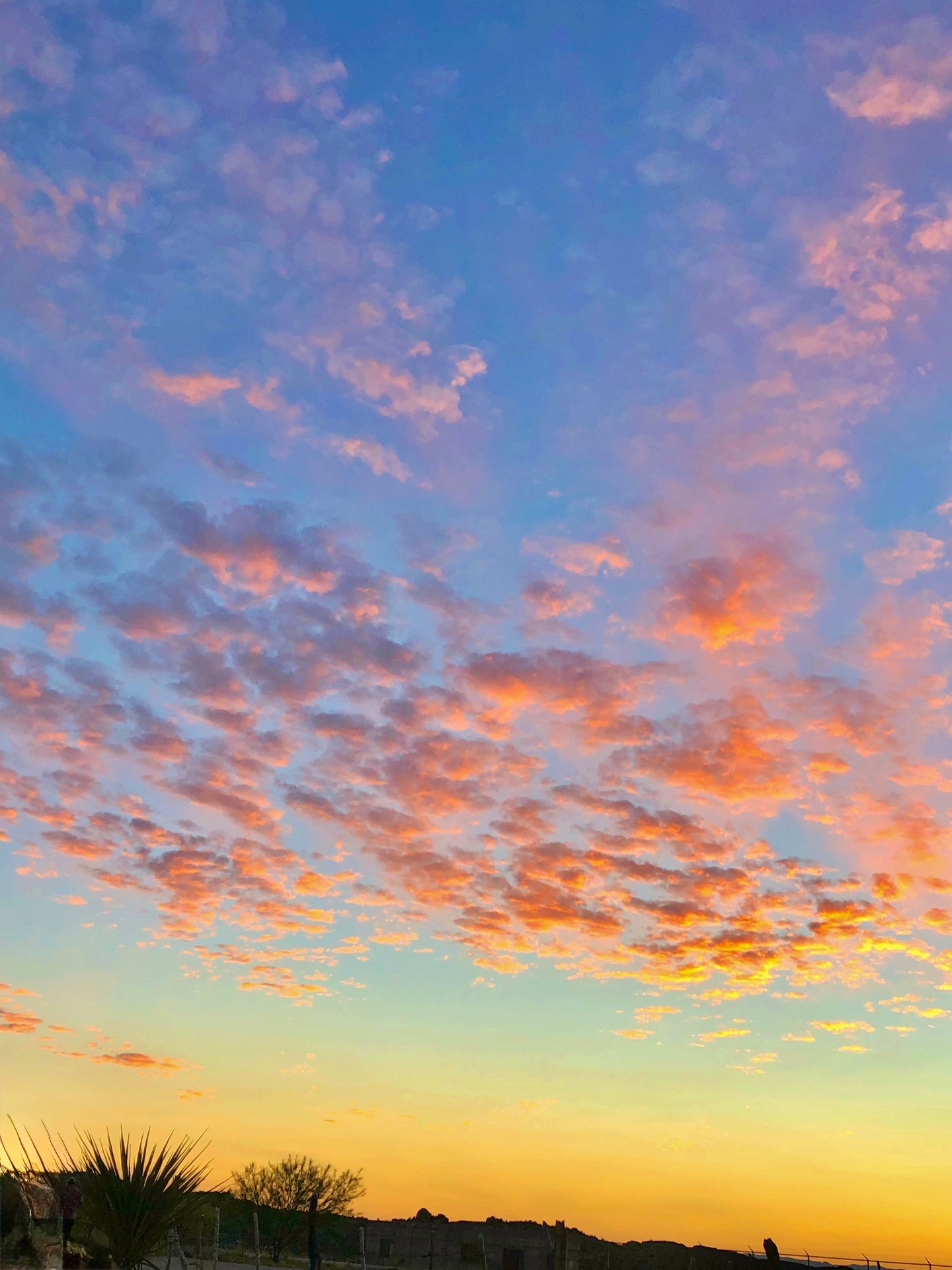 West Texas Mackerel Sunset