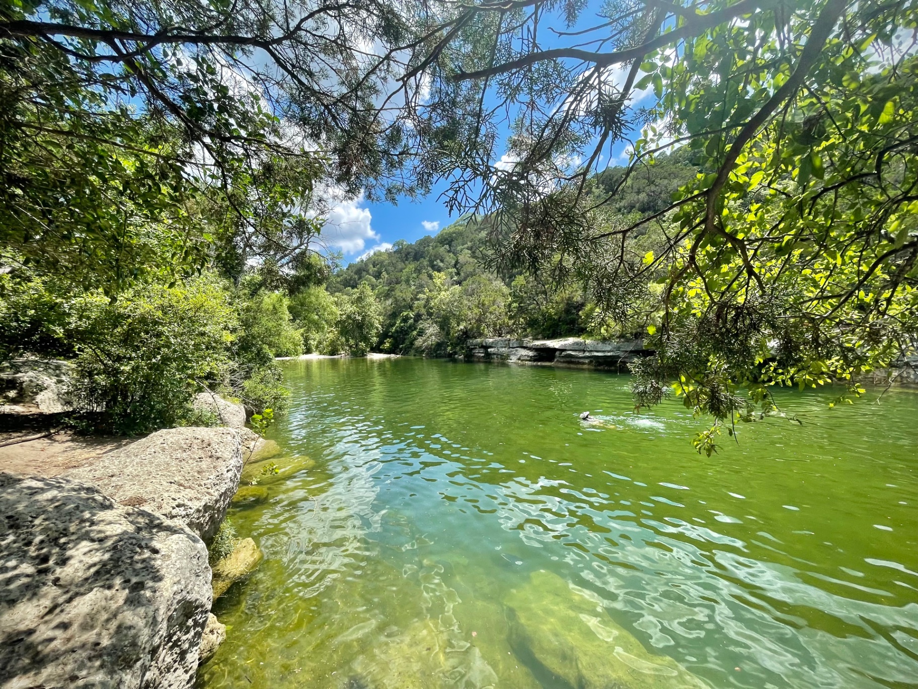 Barton Creek Green Pool