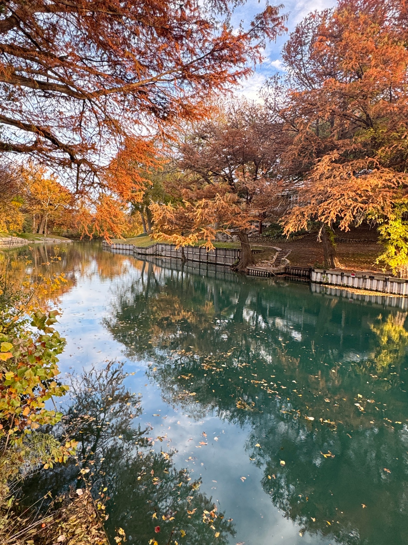Fall on the Comal