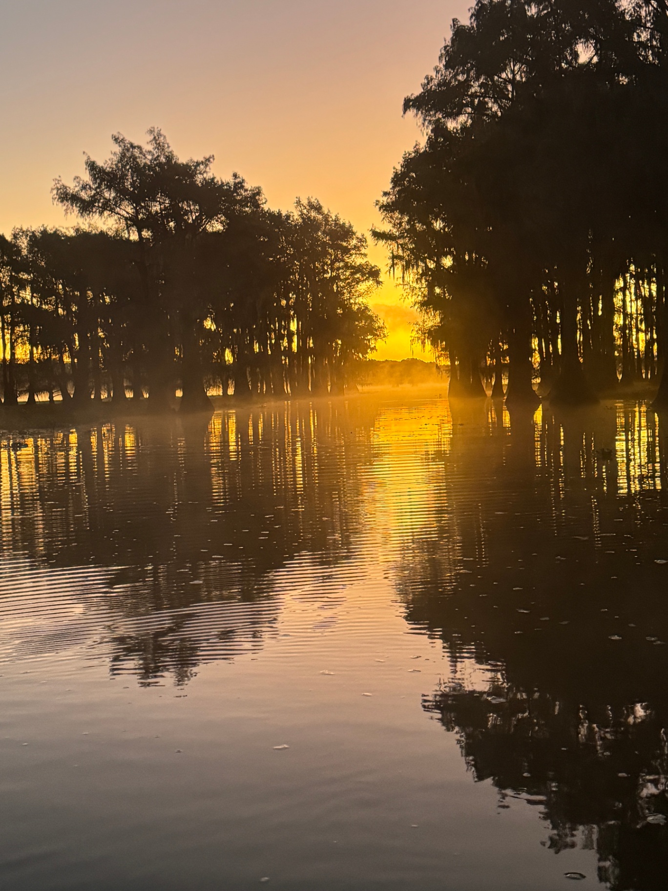 Golden Sunrise Down the Channel