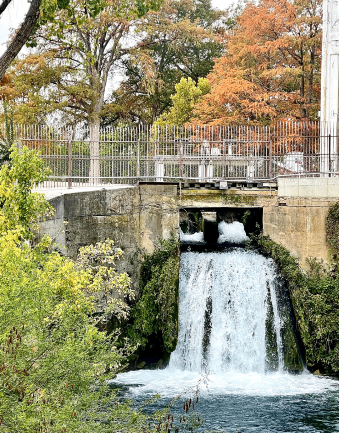 Autumn Waterfall at Wurstfest