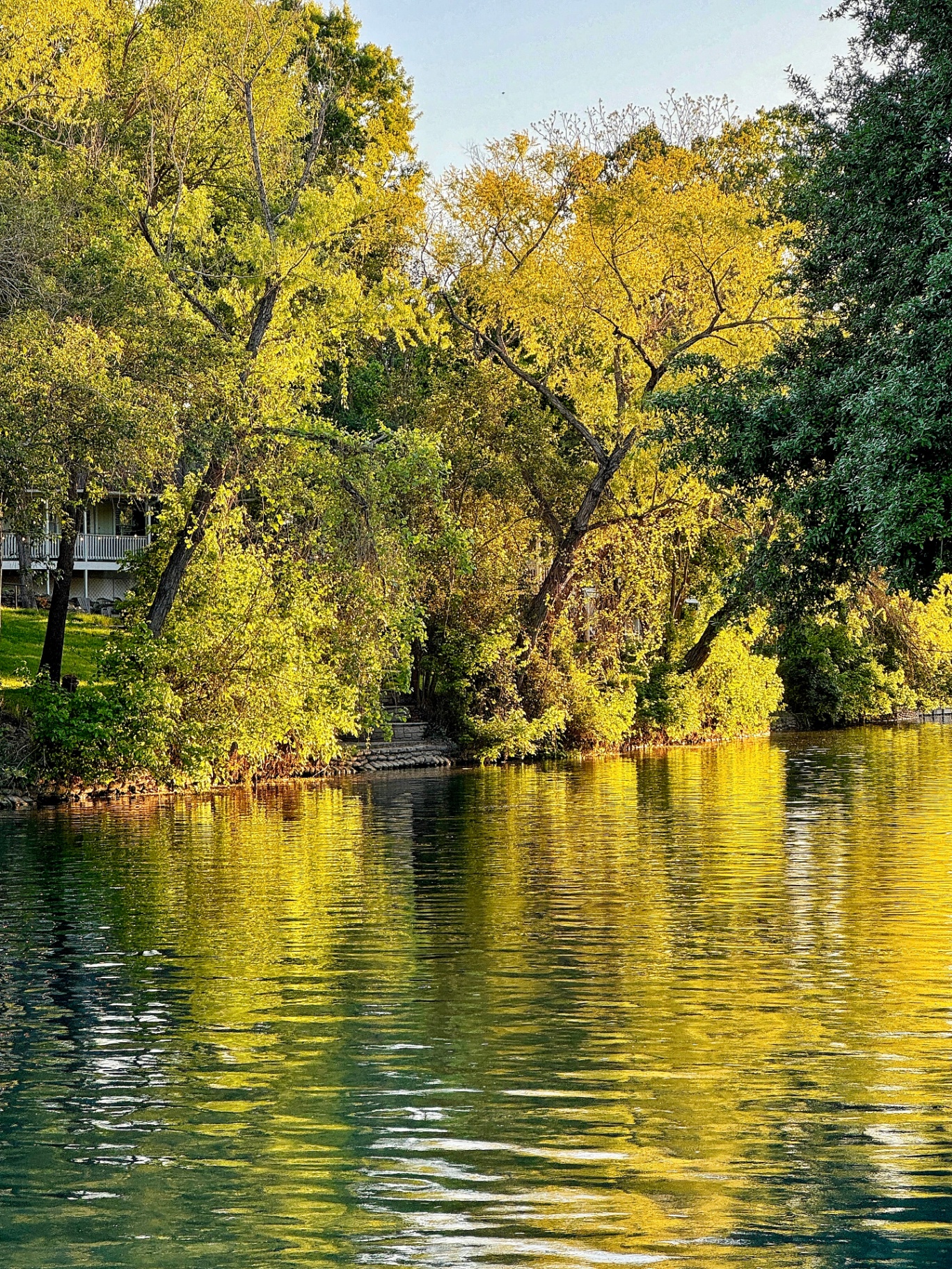 Golden Hour on the Comal at Hinman Island